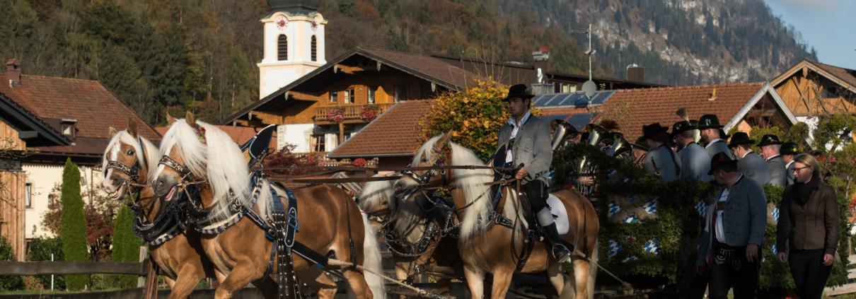 Leonhardiritt, Leonhardi, Leonhardifahrt, Bayern, Oberaudorf, Brauchtum, Tradition